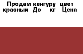 Продам кенгуру, цвет красный. До 12 кг › Цена ­ 1 000 - Оренбургская обл. Дети и материнство » Качели, шезлонги, ходунки   